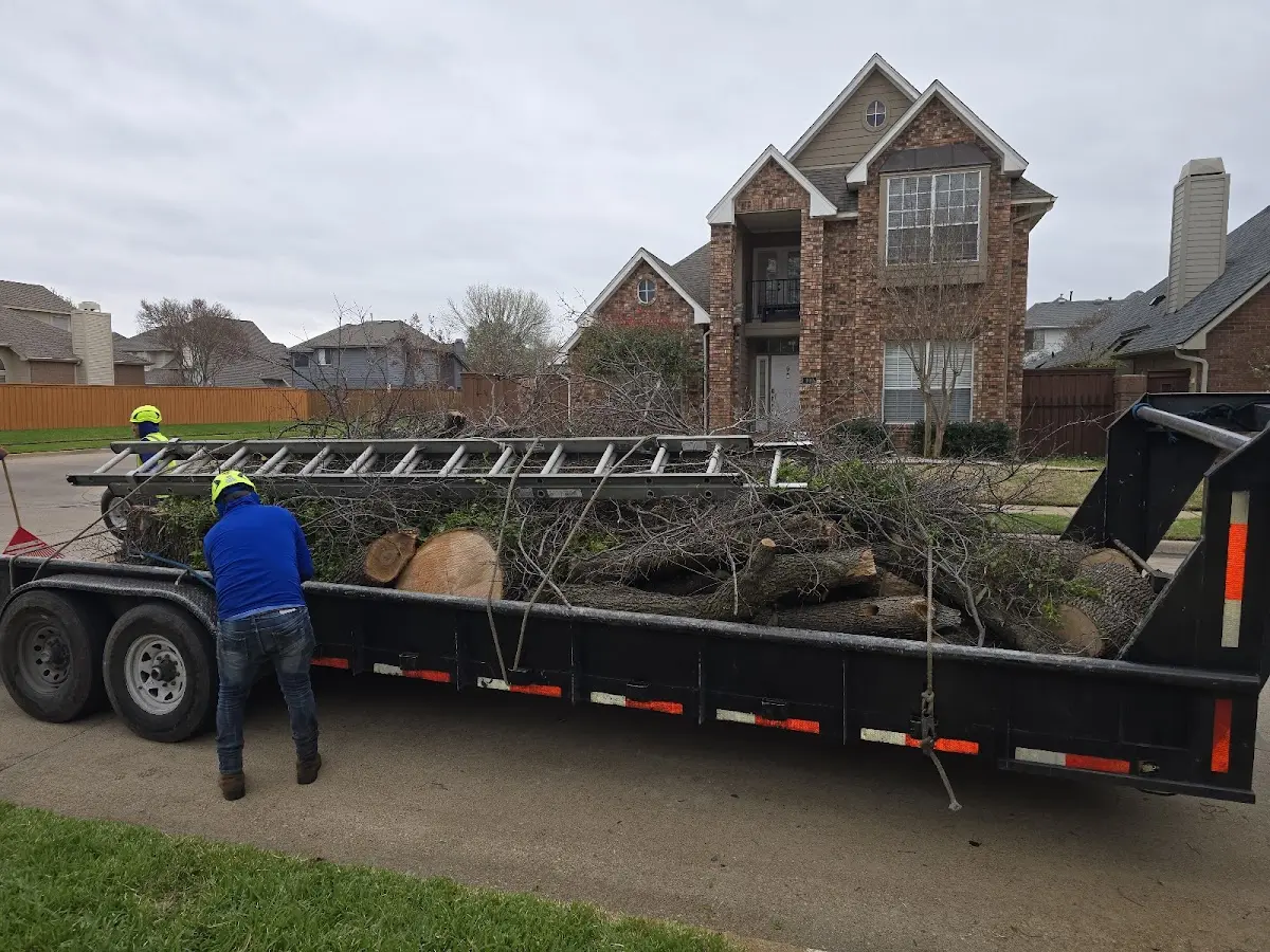 Expert Tree Fertilization with proper safety equipment in Sunol